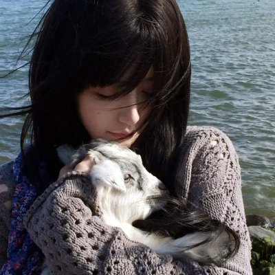 安娜贝尔回家啰 海报